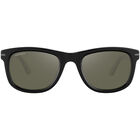 DANNY, Black-Mineral Polarized 555nm Silver Cat 3 to 3, hi-res image number null